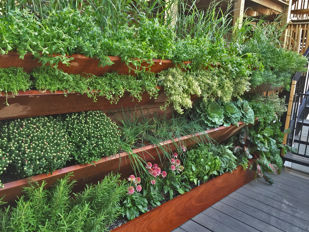 This is an example of a small contemporary rooftop full sun garden in Chicago with a vegetable garden.