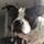 jerry_walsh46