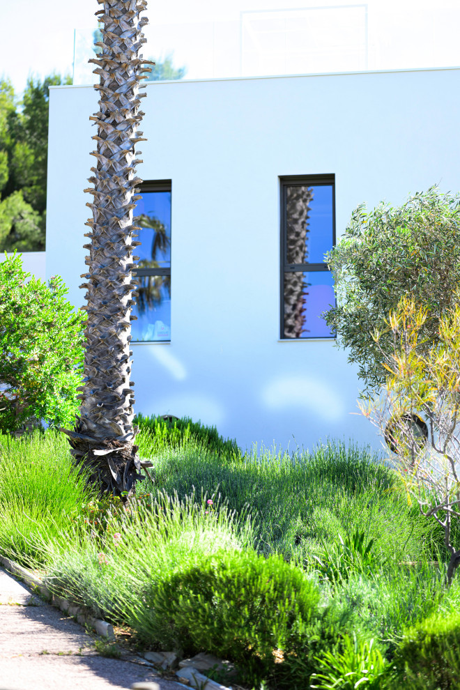 La Ciotat (Bouches du Rhône) - Jardin méditerranéen en restanques