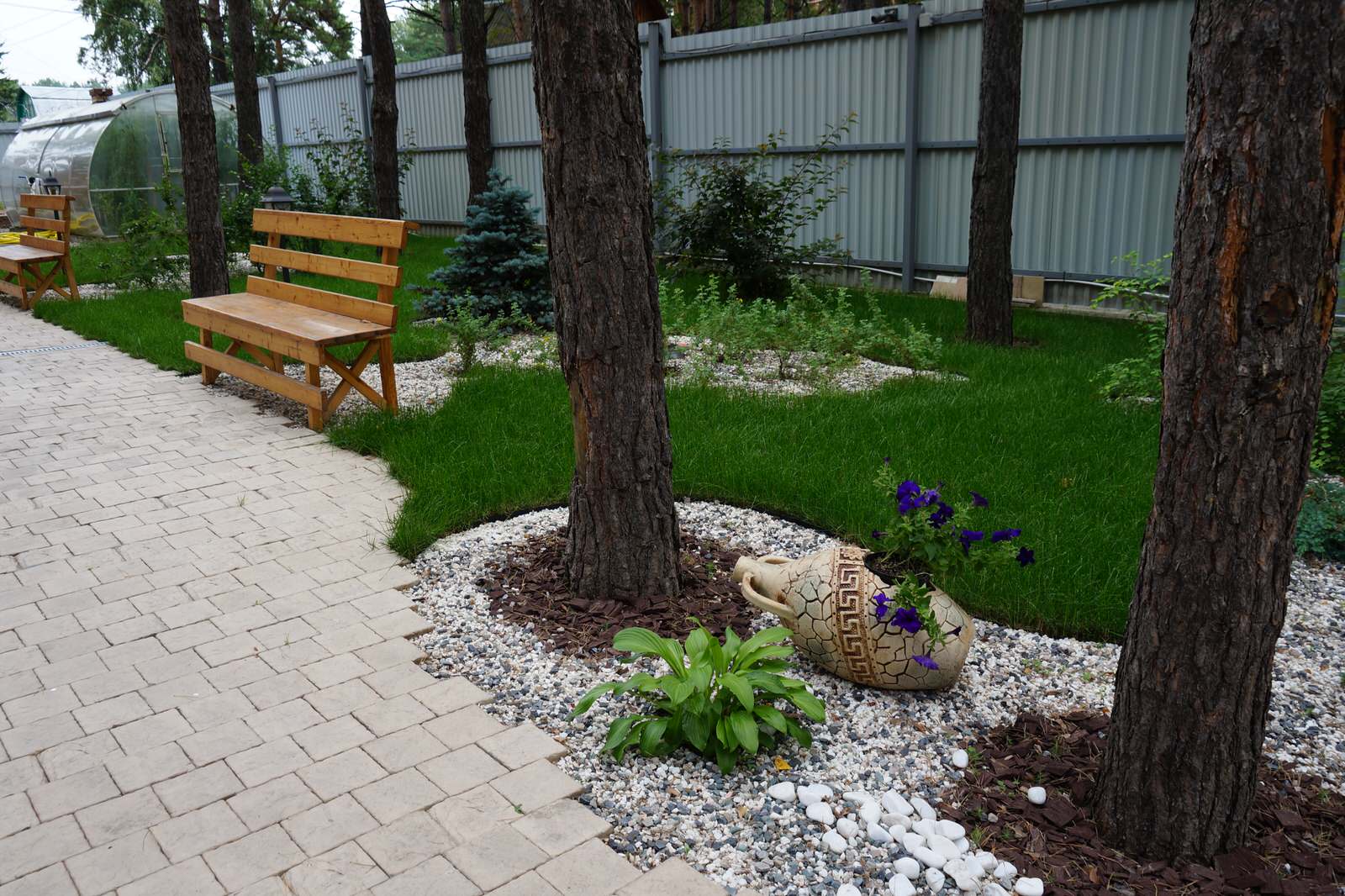 Умиротворение в сосновом лесу