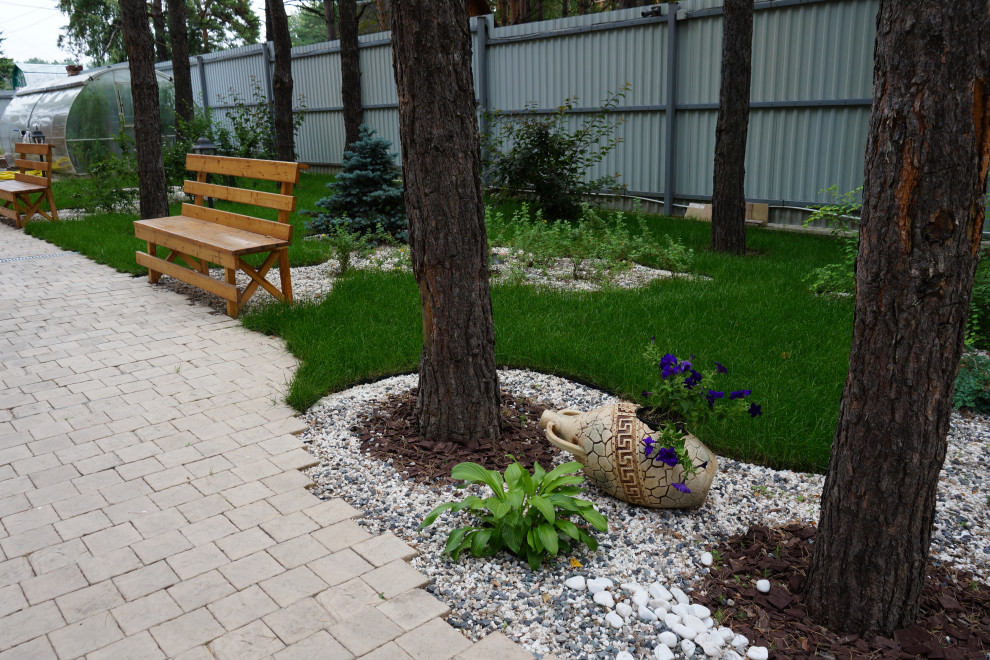 Умиротворение в сосновом лесу