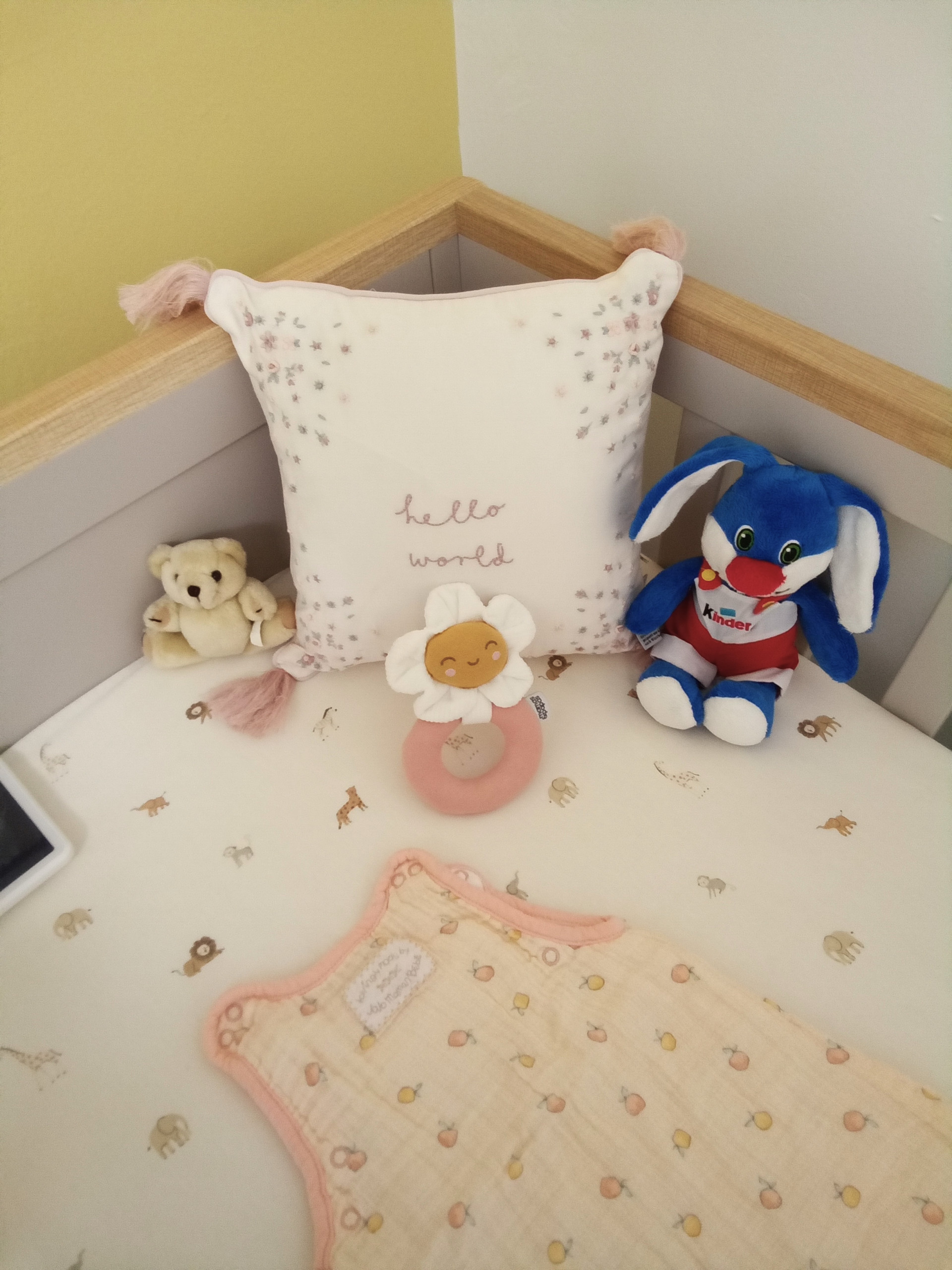 Barndarrig Nursery