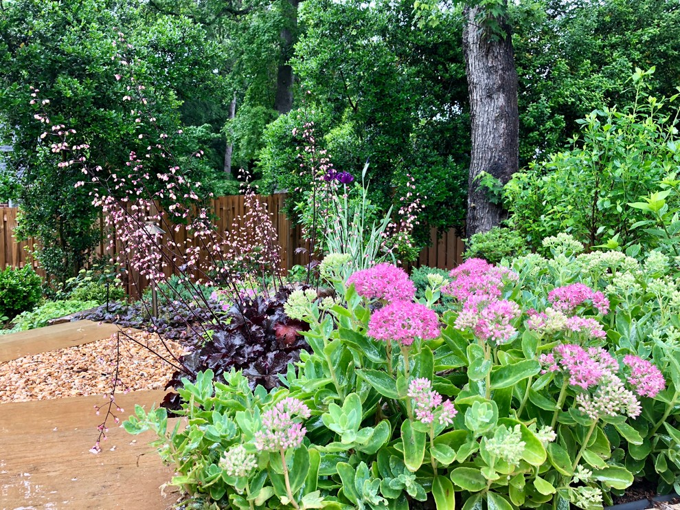 This is an example of a contemporary garden in Charlotte.