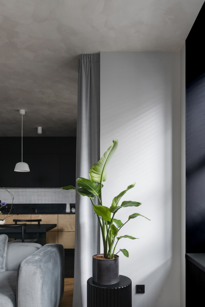 Кухня-гостиная