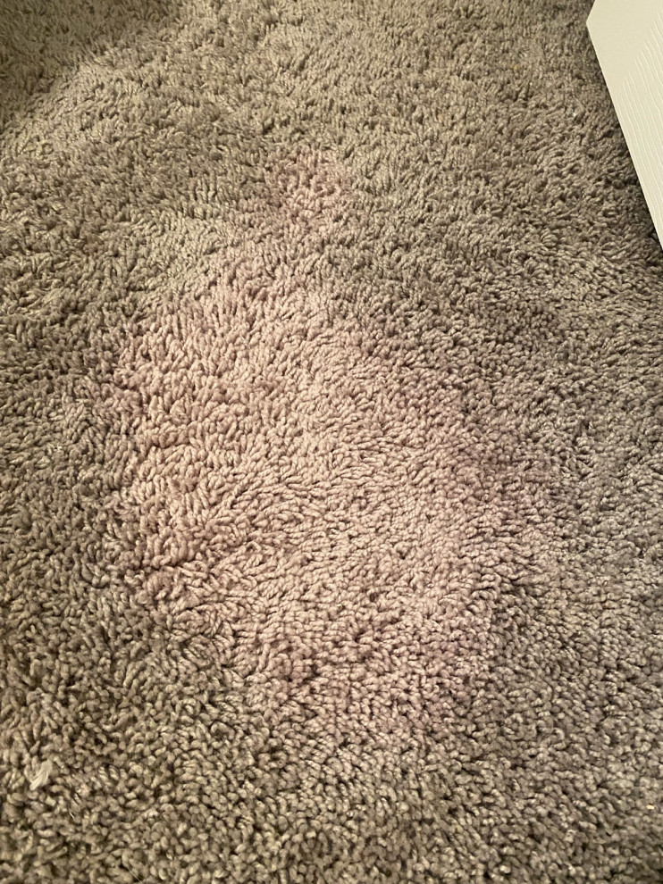 purpleish bleach stain on carpet?
