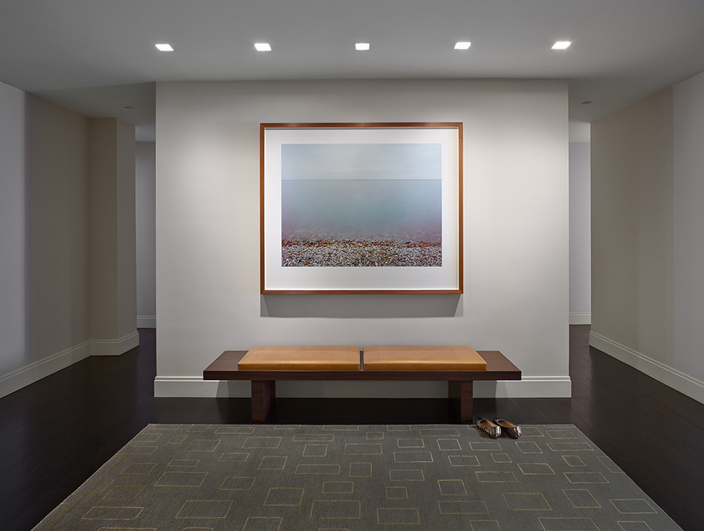 Soft Modern Manhattan Residence - Tom Powel Imaging