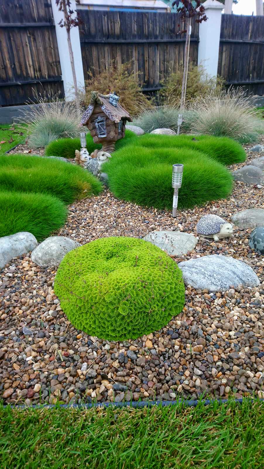 Идеи для современного сада.