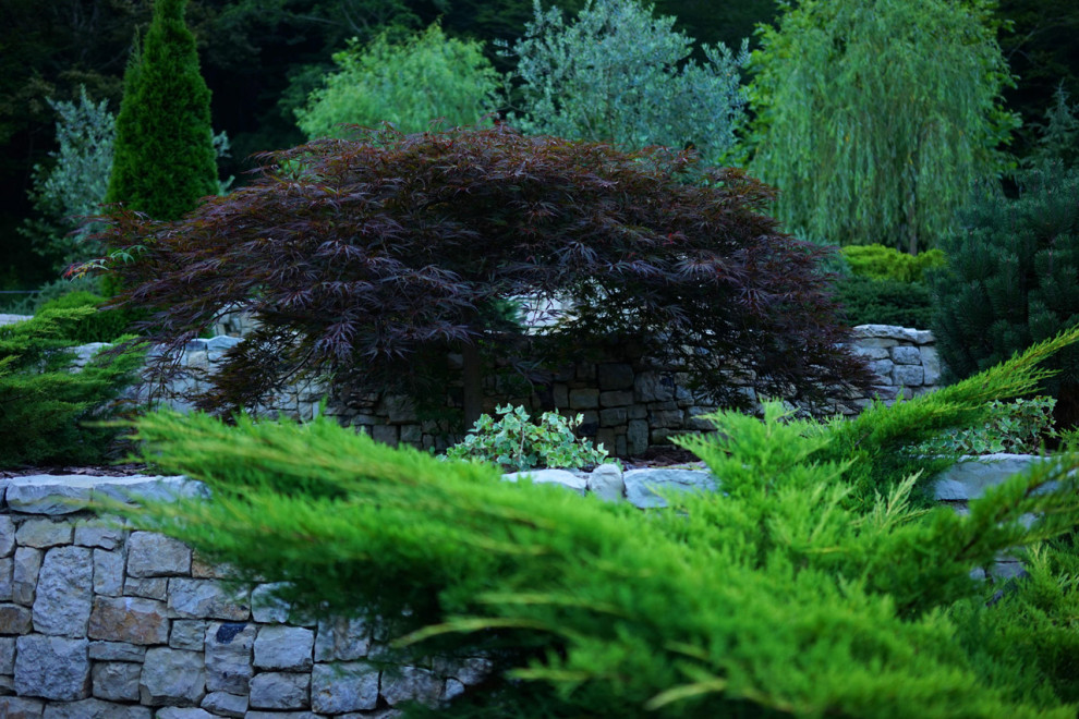 Лазурный Берег Сочи