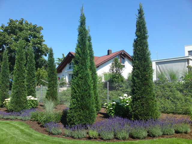 Lavendelduft mediterranean-garden