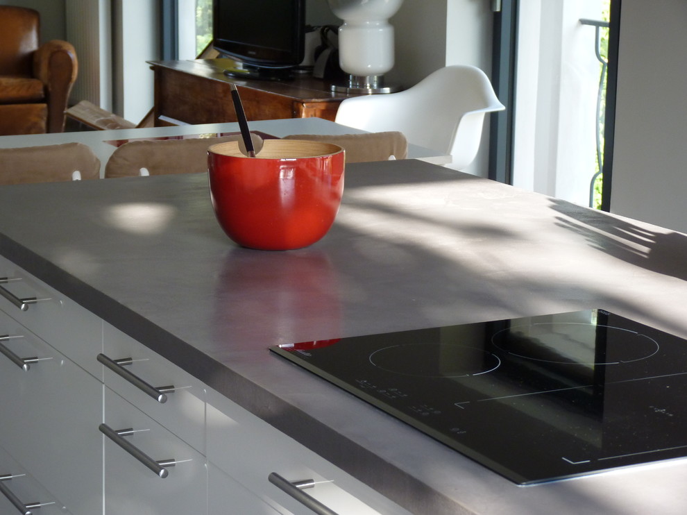 This is an example of a contemporary kitchen in Grenoble.