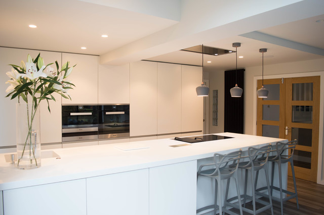Alpine White contemporary-kitchen