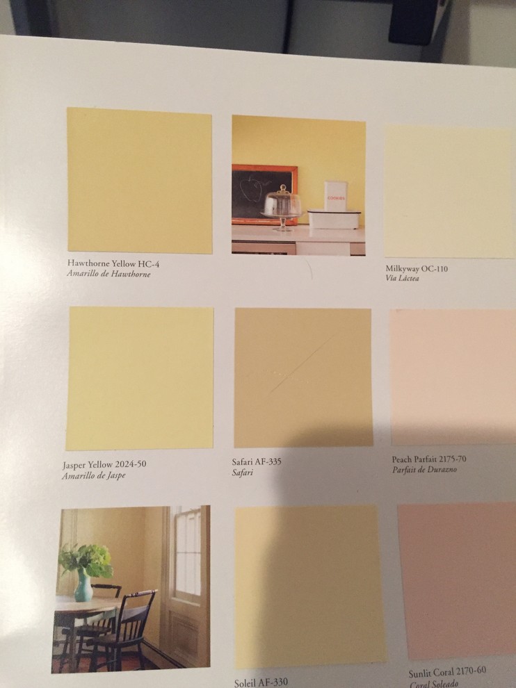 2024-50 Jasper Yellow - Paint Color