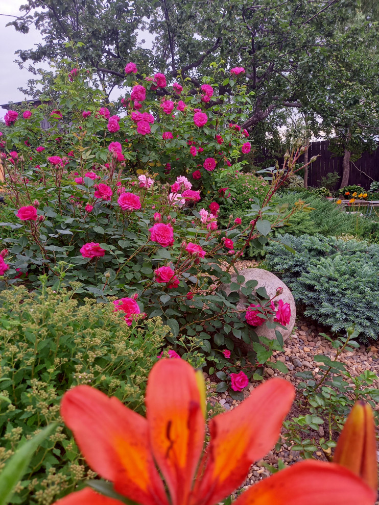 Сад для ландшафтного дизайнера.