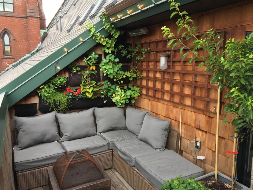 Which roses for my patio? | Houzz Forum
