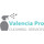 Valencia Pro Cleaning Services