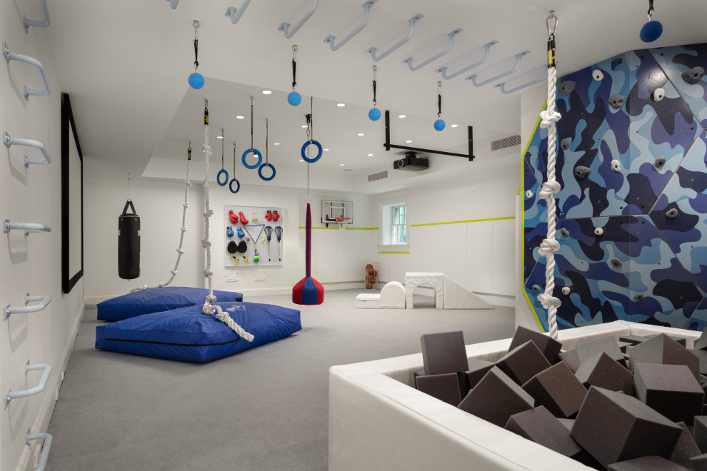 Basement - contemporary basement idea in New York