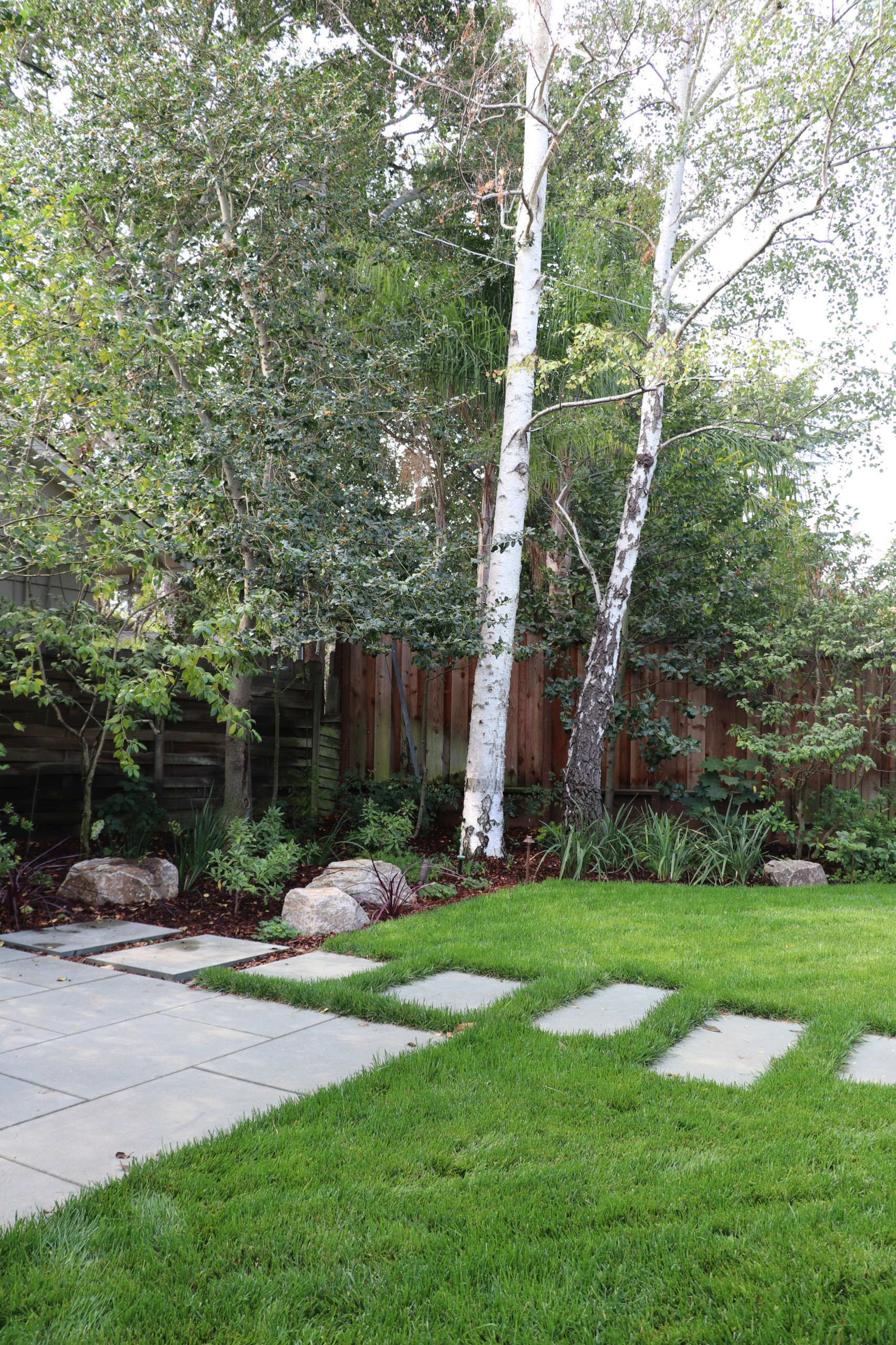 SWEDISH FLAME IN WOODS