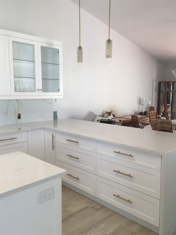 Home design - transitional home design idea in Miami