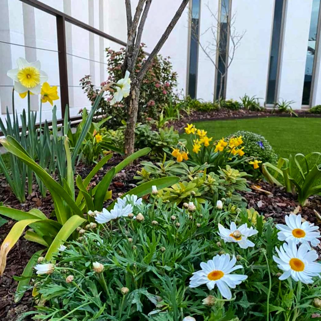 Paisajismo Arkhé: Inspiración en cada Espacio.