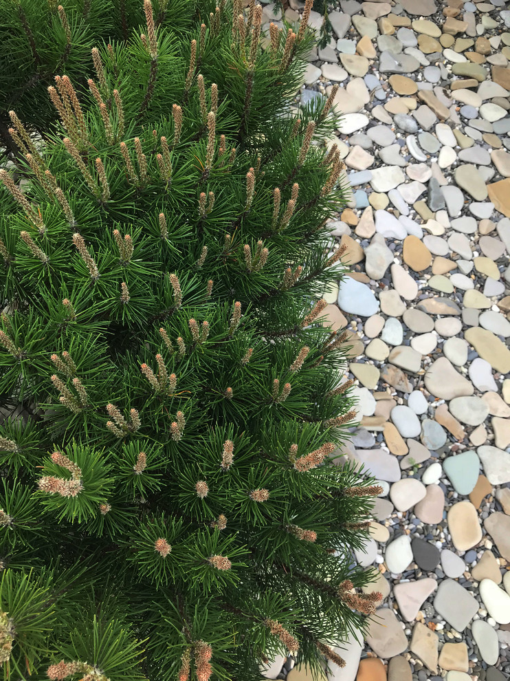 Покровское