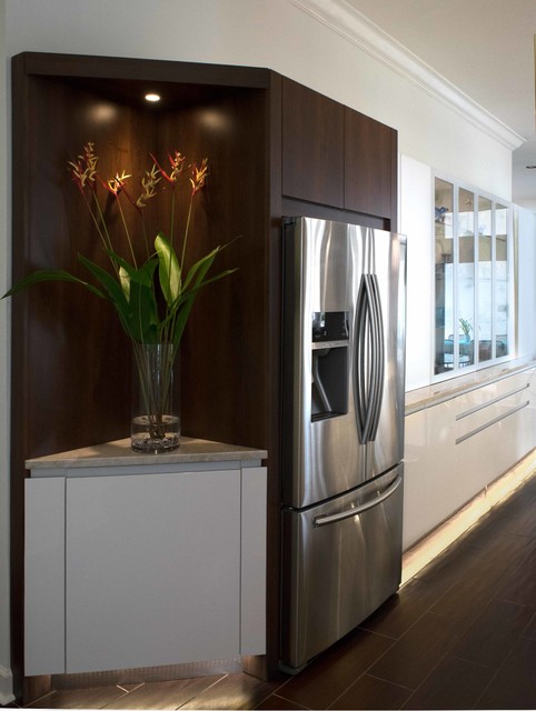 Ardalan contemporary-kitchen