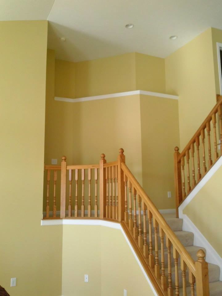 Inspiration for a transitional carpeted staircase remodel in Columbus with carpeted risers