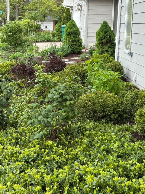 Inspiration for a mid-sized partial sun side yard landscaping in Chicago.