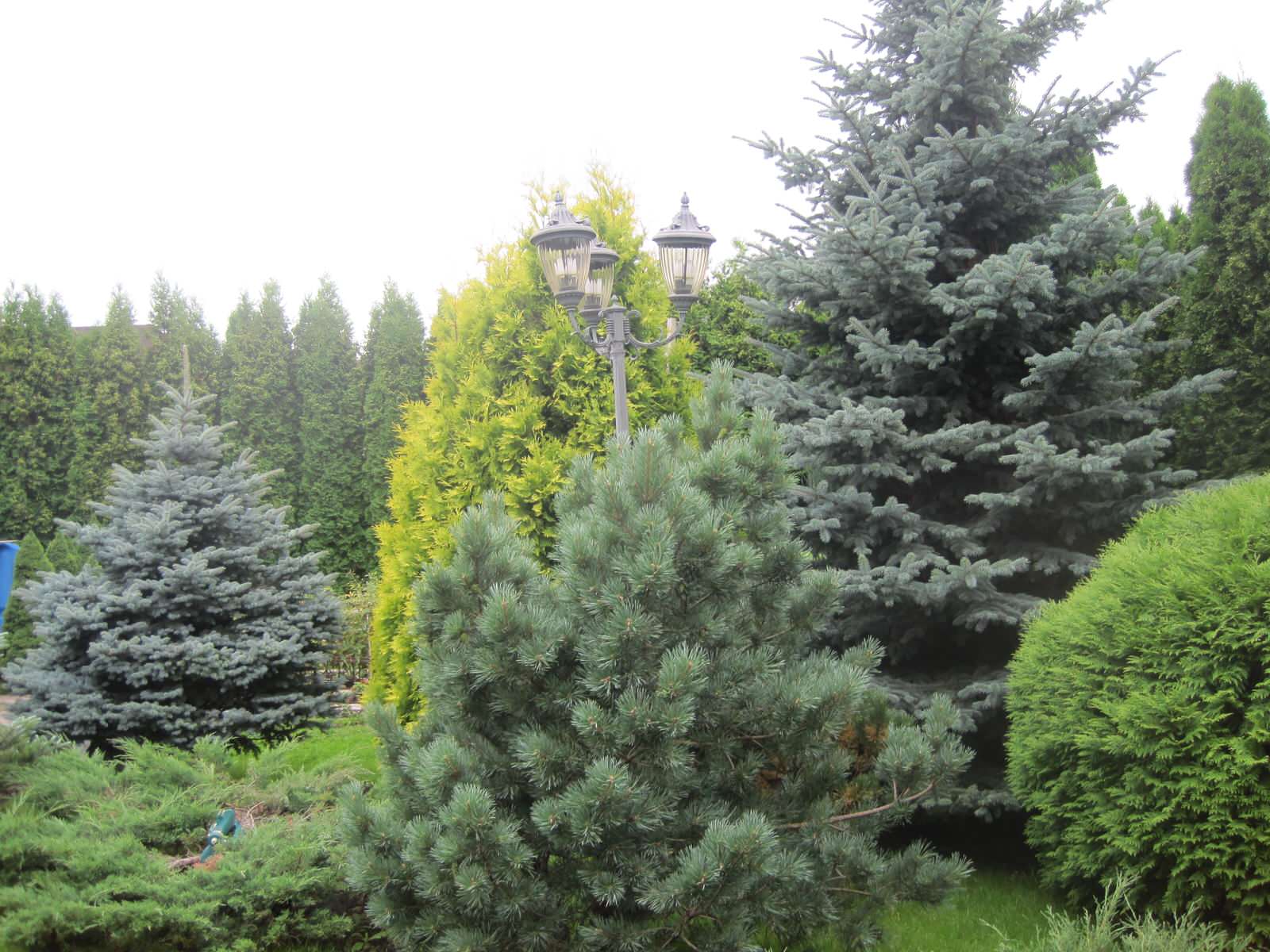 Благоустройство и озеленение