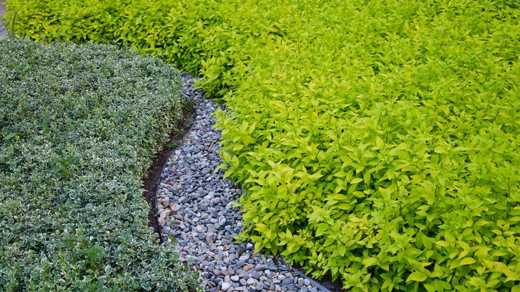 Благоустройство территории ЖК "Центральный"