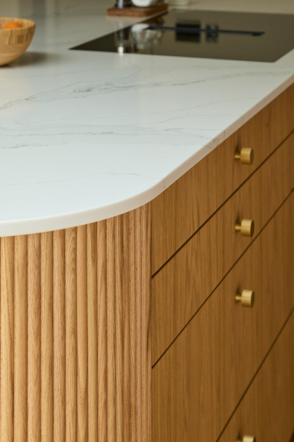 Contemporary Kitchen Hayes trendy-koekken