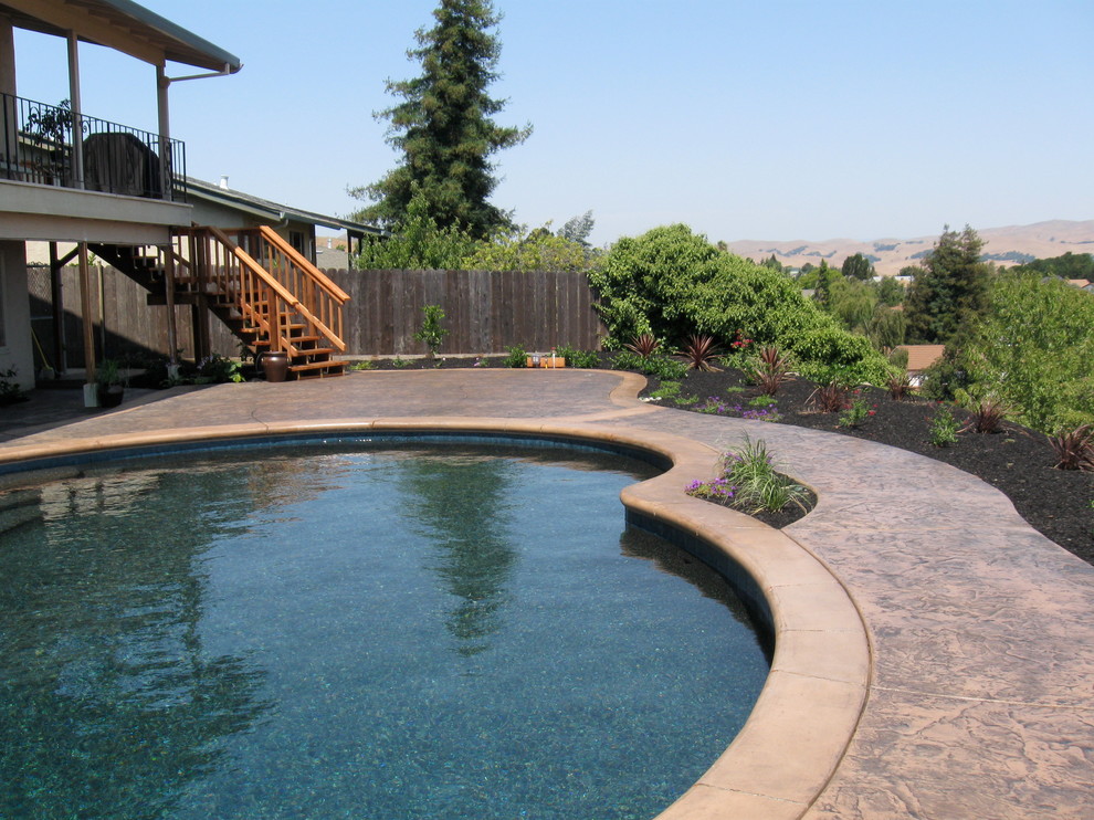 Benicia Pool and Backyard Remodel