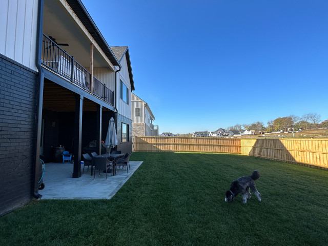 Before backyard 