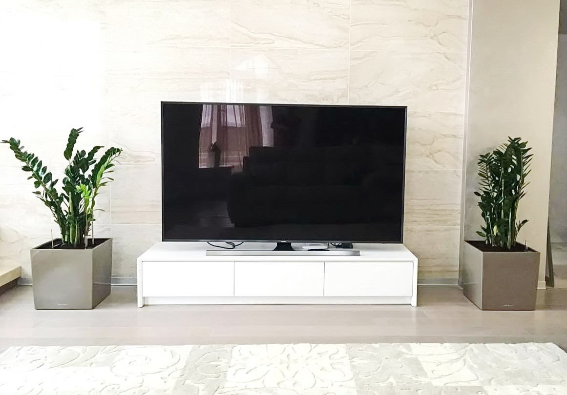 Озеленение частных квартир