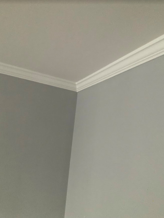 Paint & Trim Work