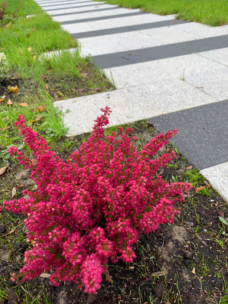 Дом для  отдыха на побережье Балтики