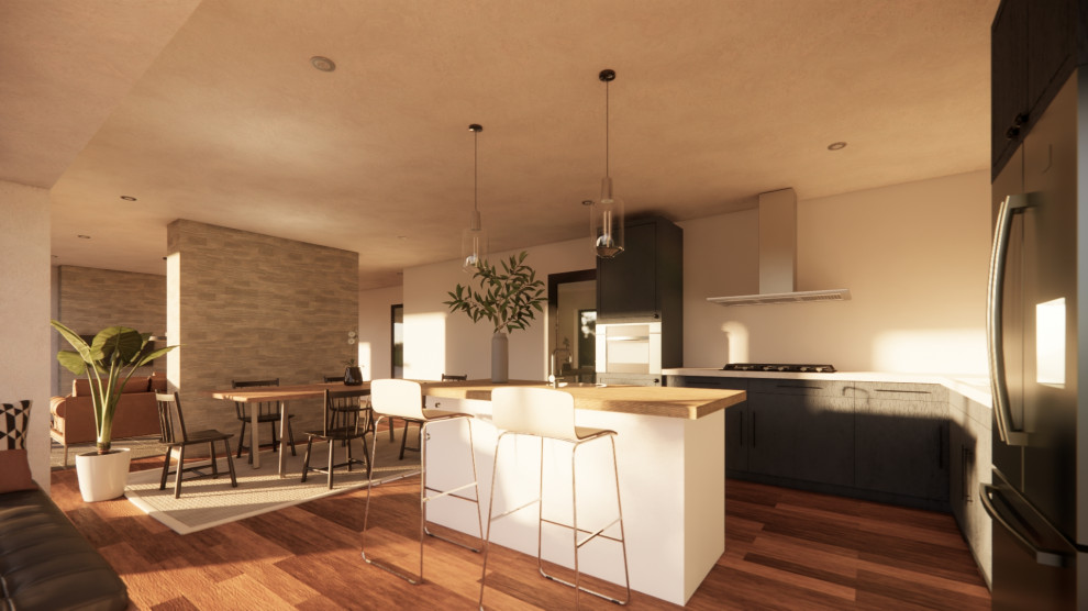 Jacinta renovation perspective views