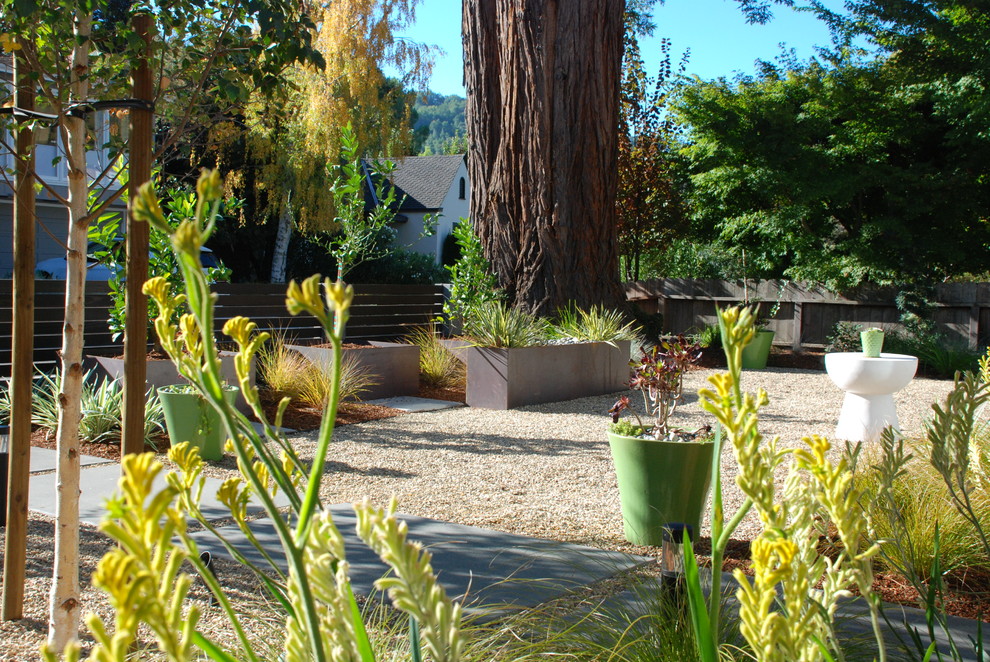 Contemporary partial sun garden in San Francisco with a garden path and concrete pavers.