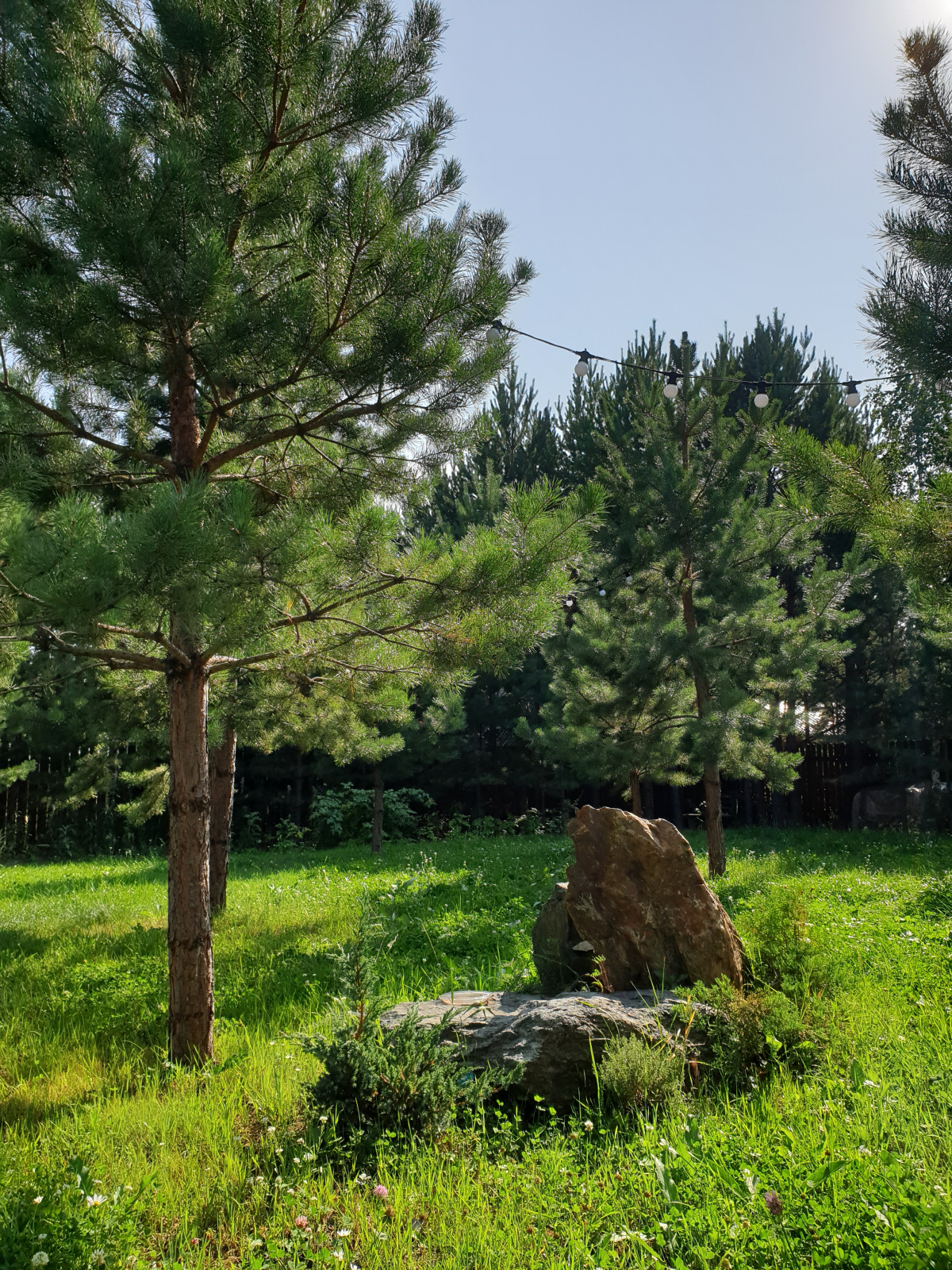 Дом архитектора _экстерьер