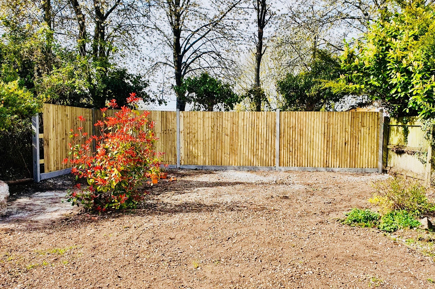 Garden Screening Ideas
