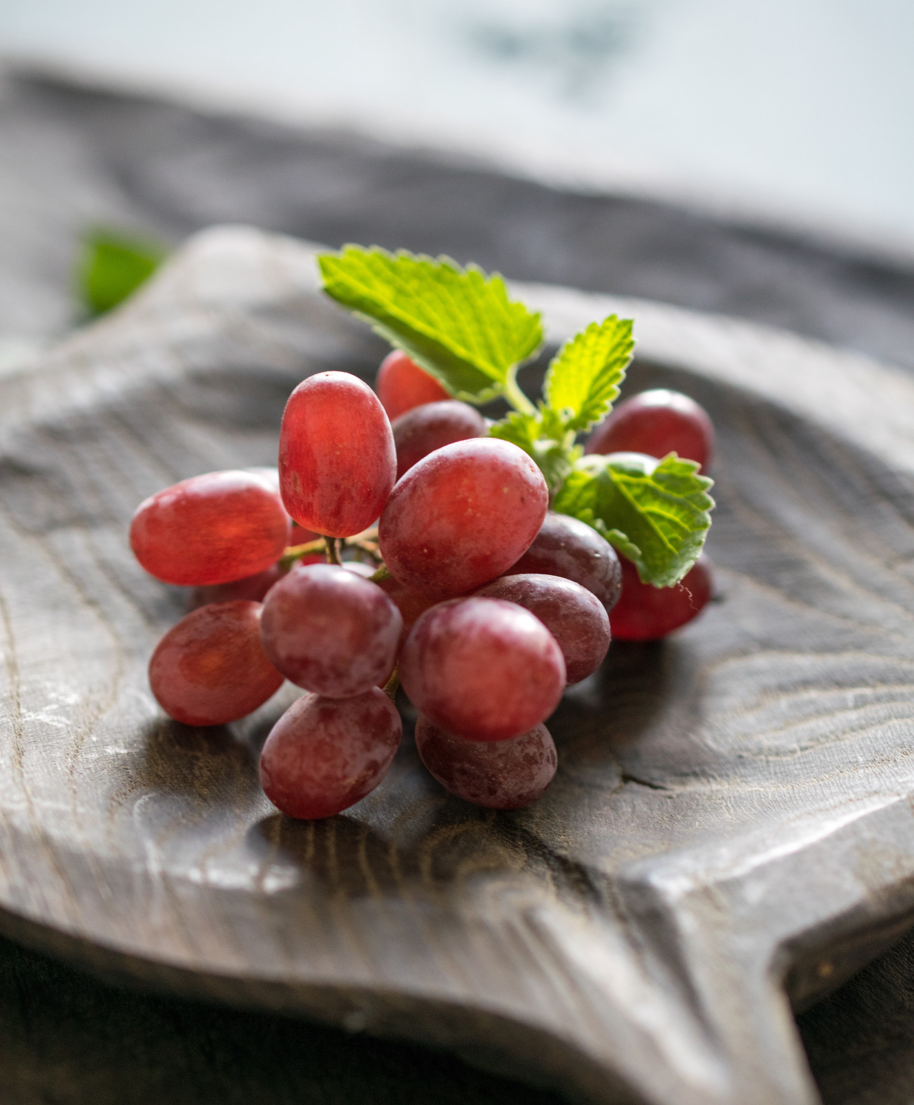 съемка для  FUGA