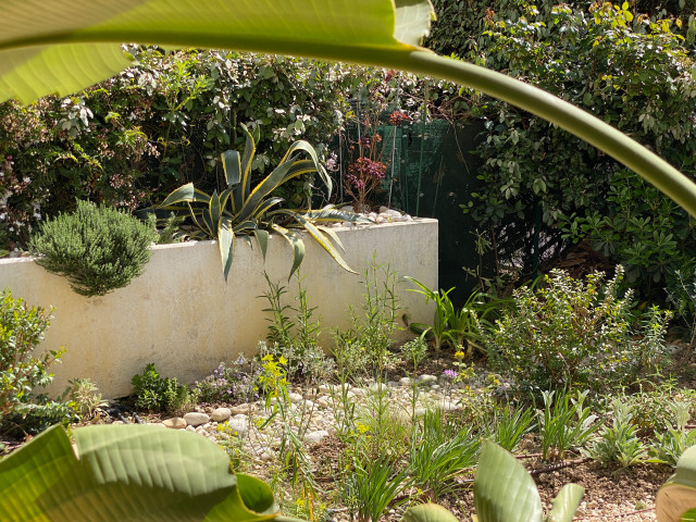 La garrigue en rez-de-jardin lantlig-traedgaard