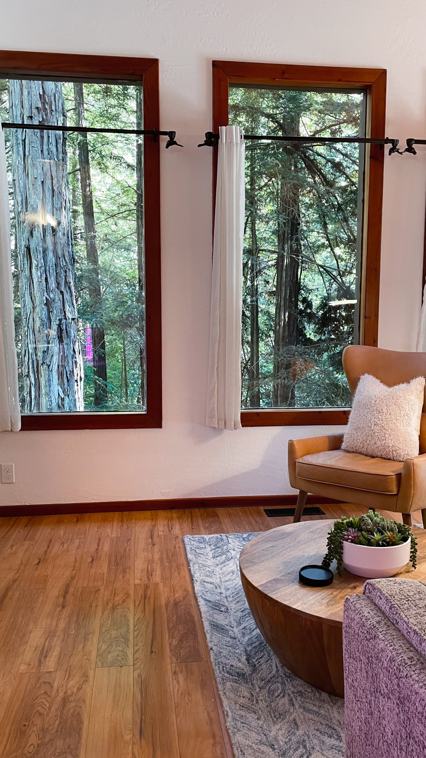Air BnB Living Room