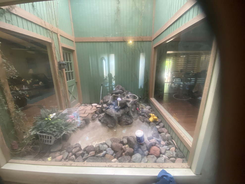 Need help on my indoor atrium’s pond