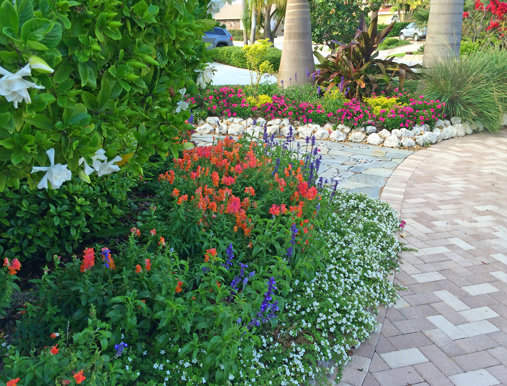Design ideas for a beach style garden in Tampa.