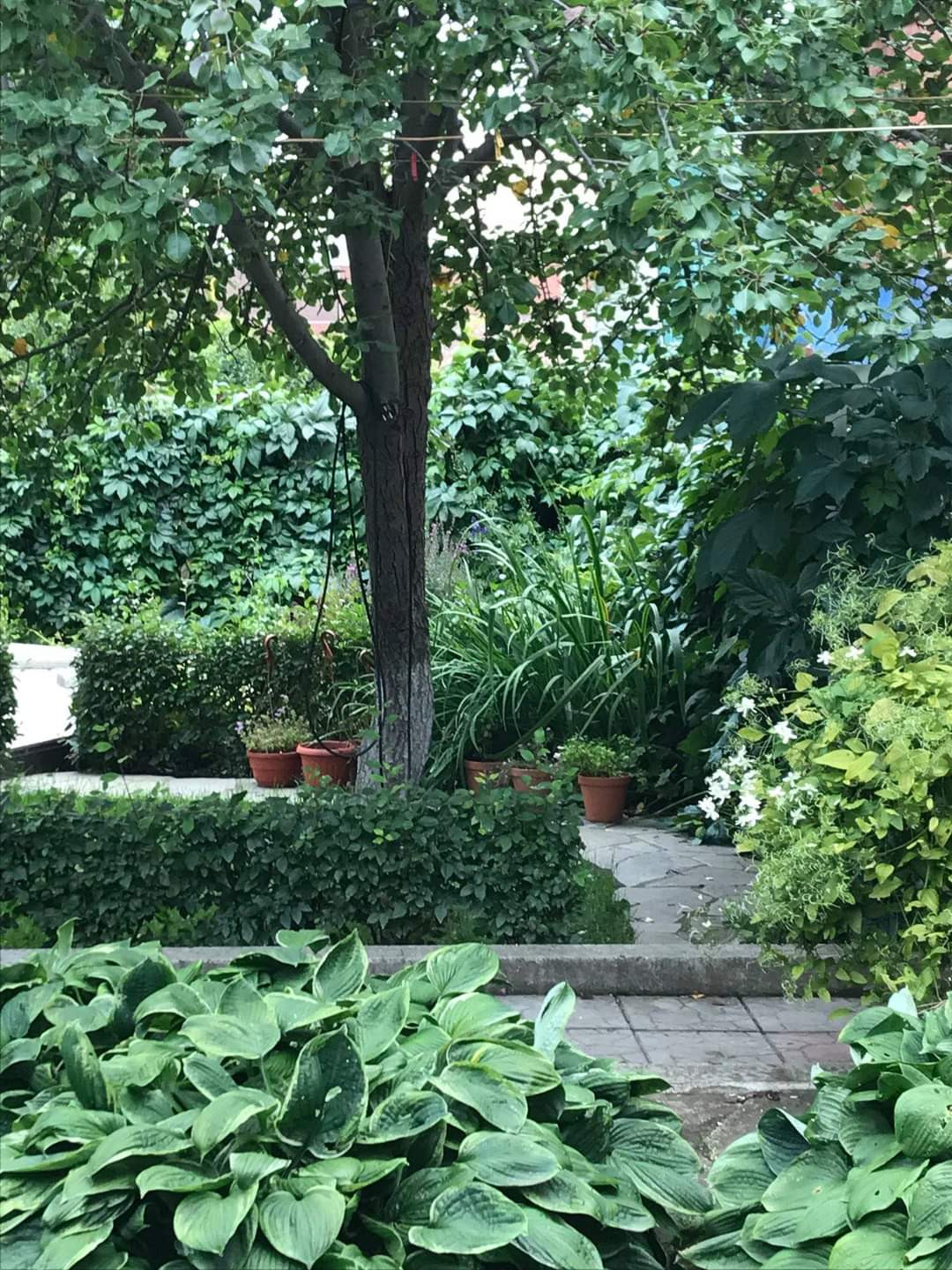 Сад пяти комнат