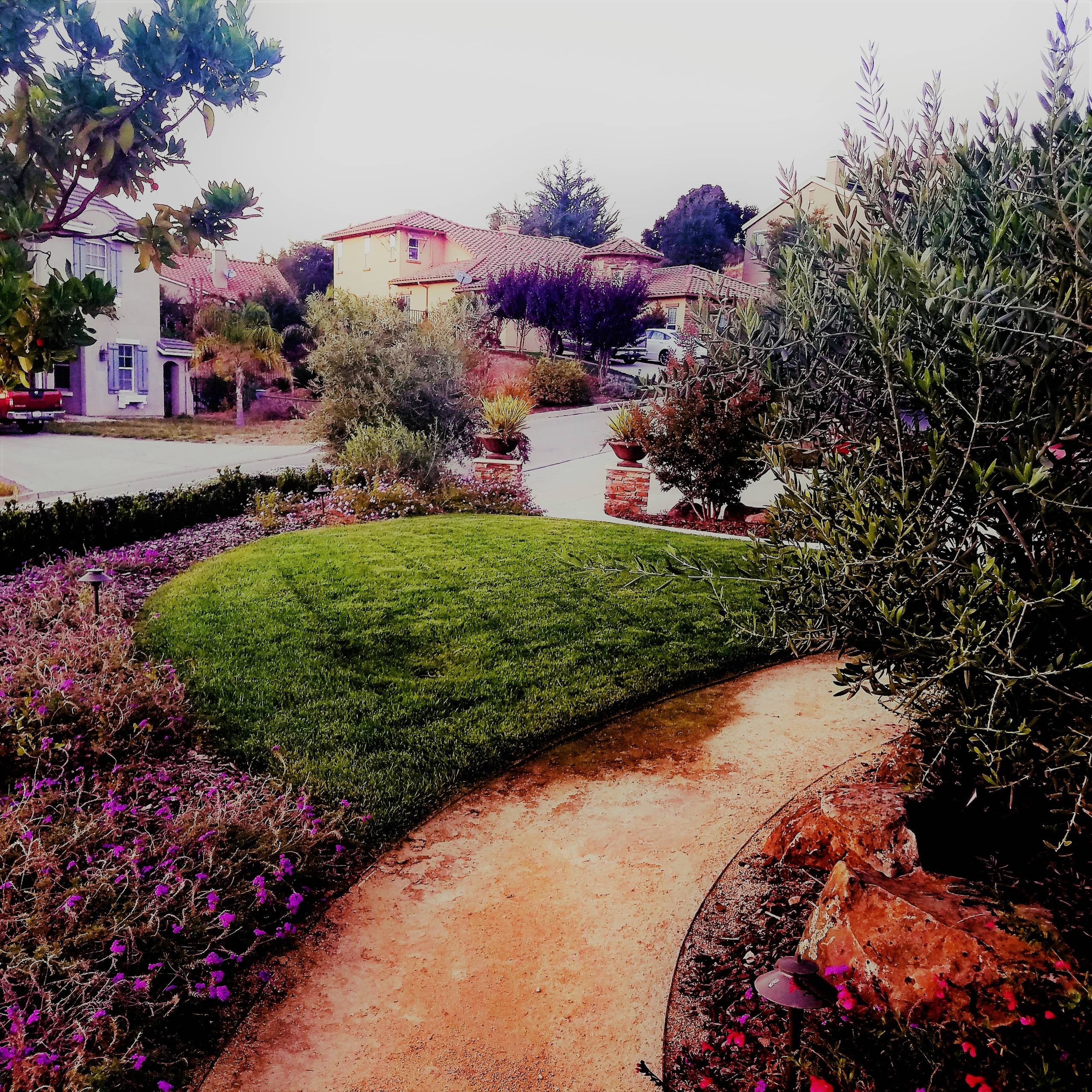 Gilroy CA
