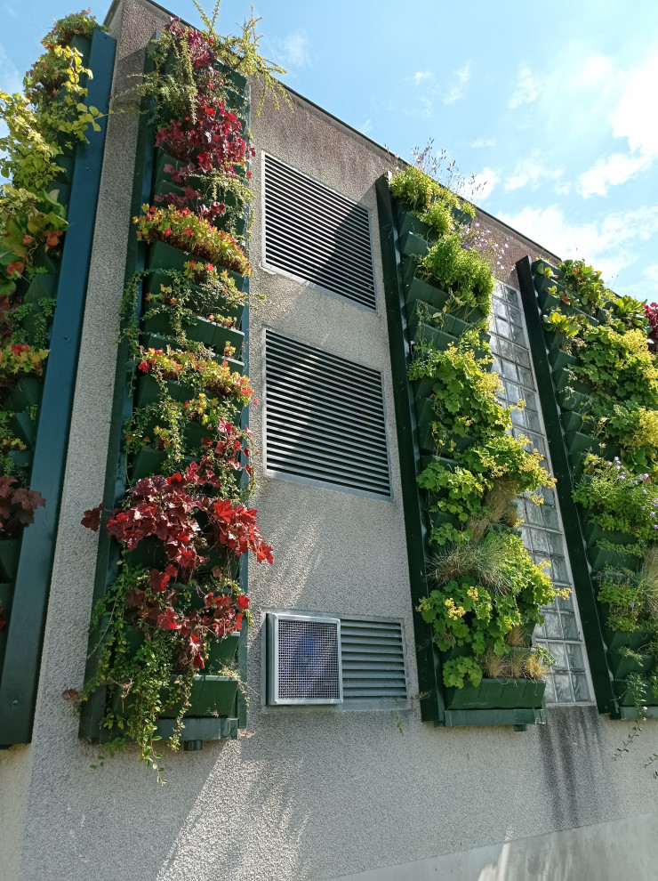 Végétaux naturels Façade végétalisée / Mur végétal extérieur — free download