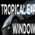 Tropical Express Mobile Window Tinting Tampa