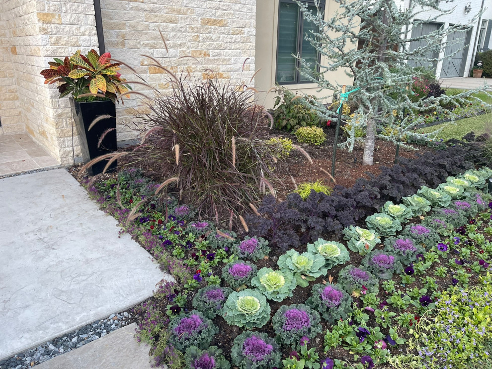 Dallas Residential Landscape
