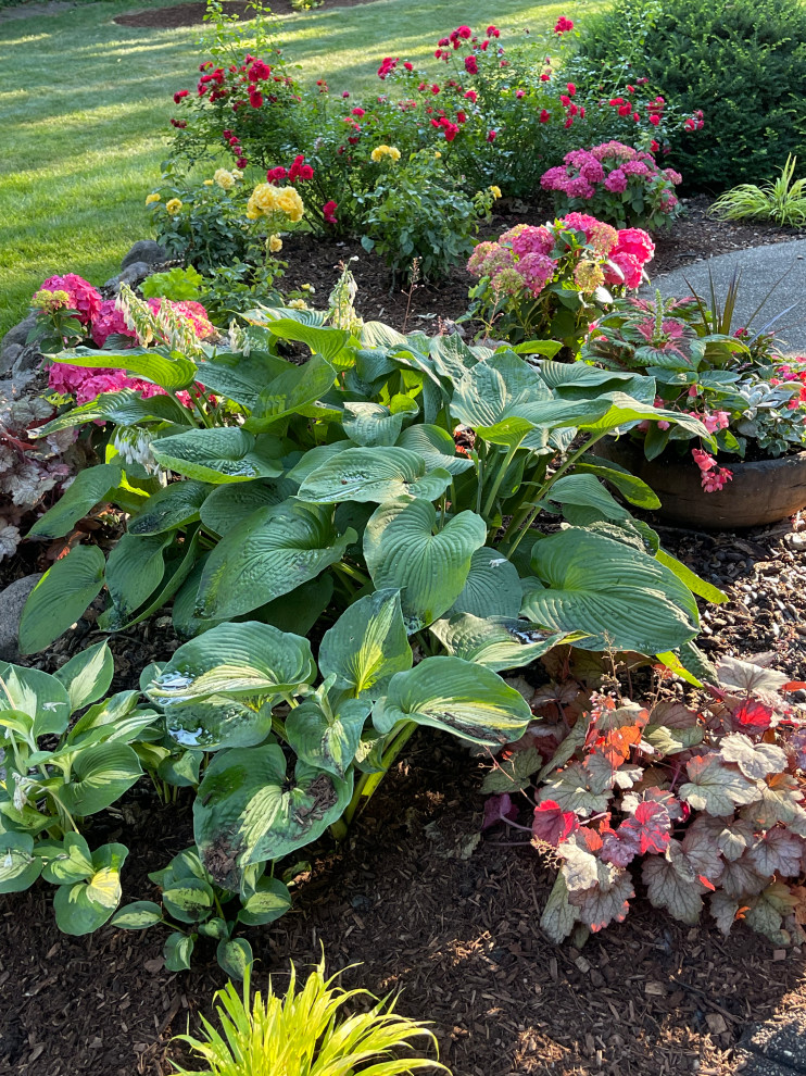 This is an example of a transitional landscaping in Chicago.